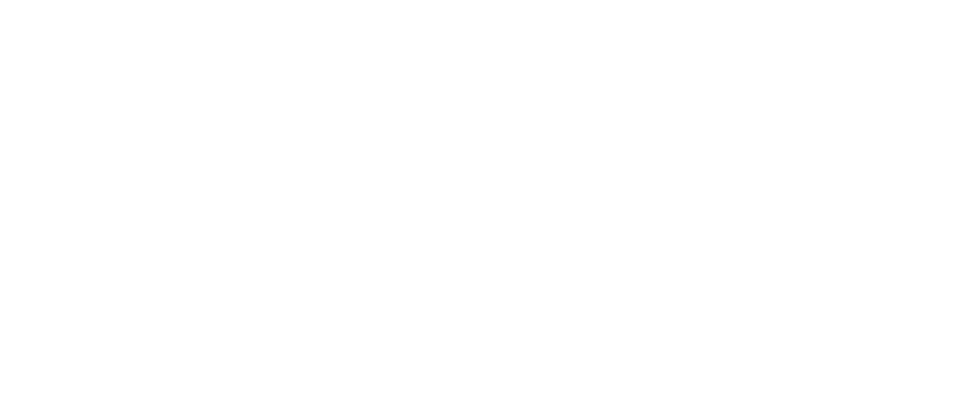 Twigo Blog