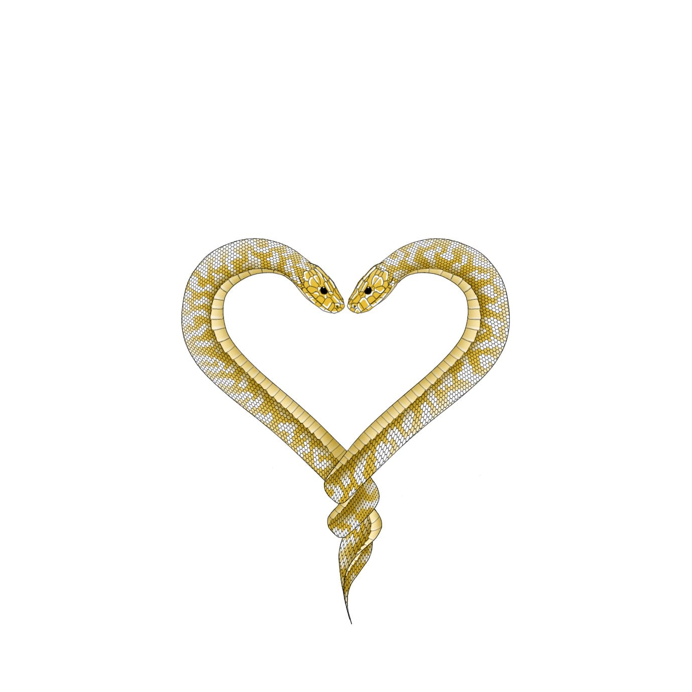 Snake Heart foto copertina